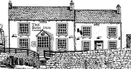 Sketch of The Bush by Riggy